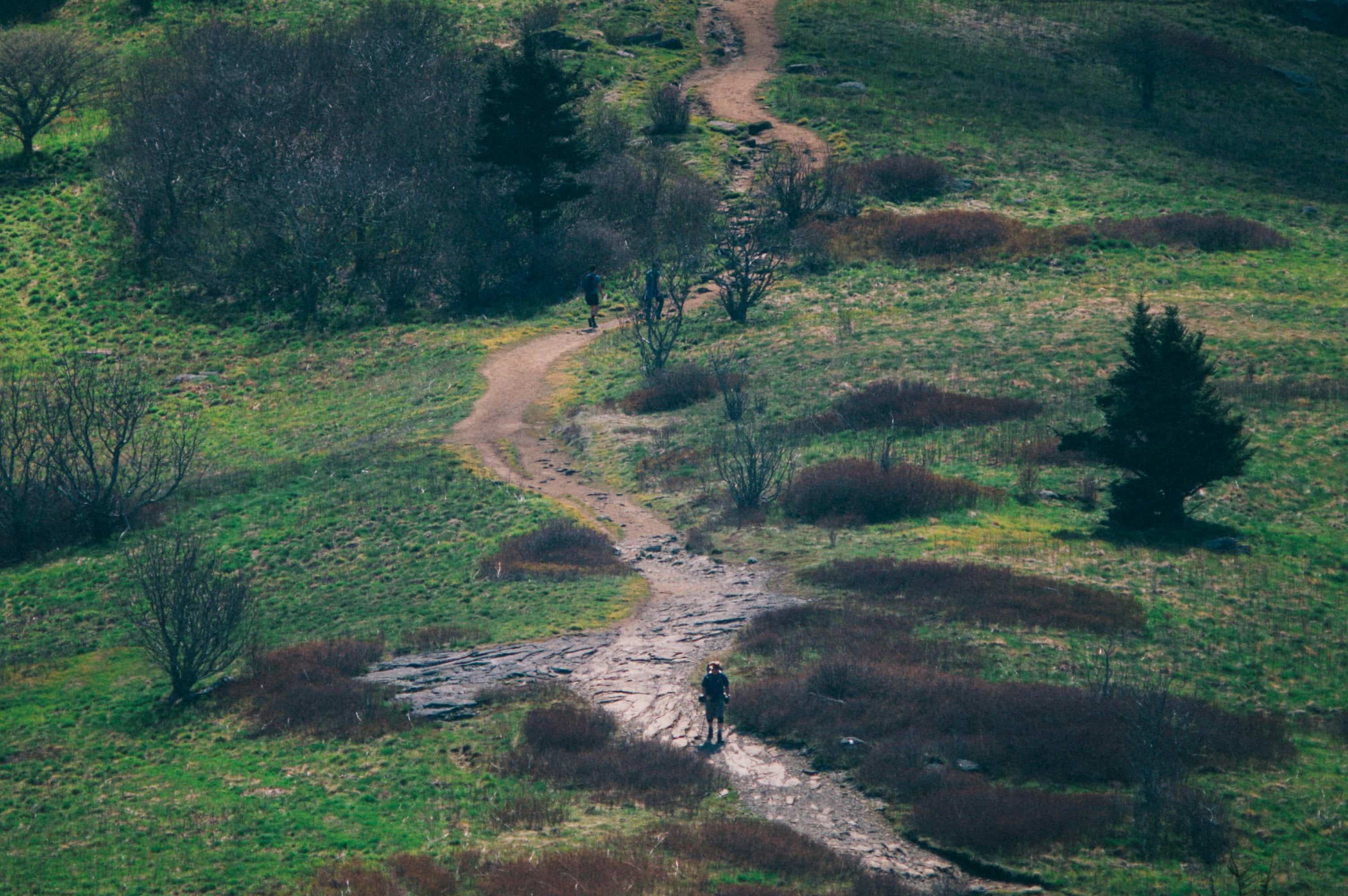 Trail cut through a mountain side