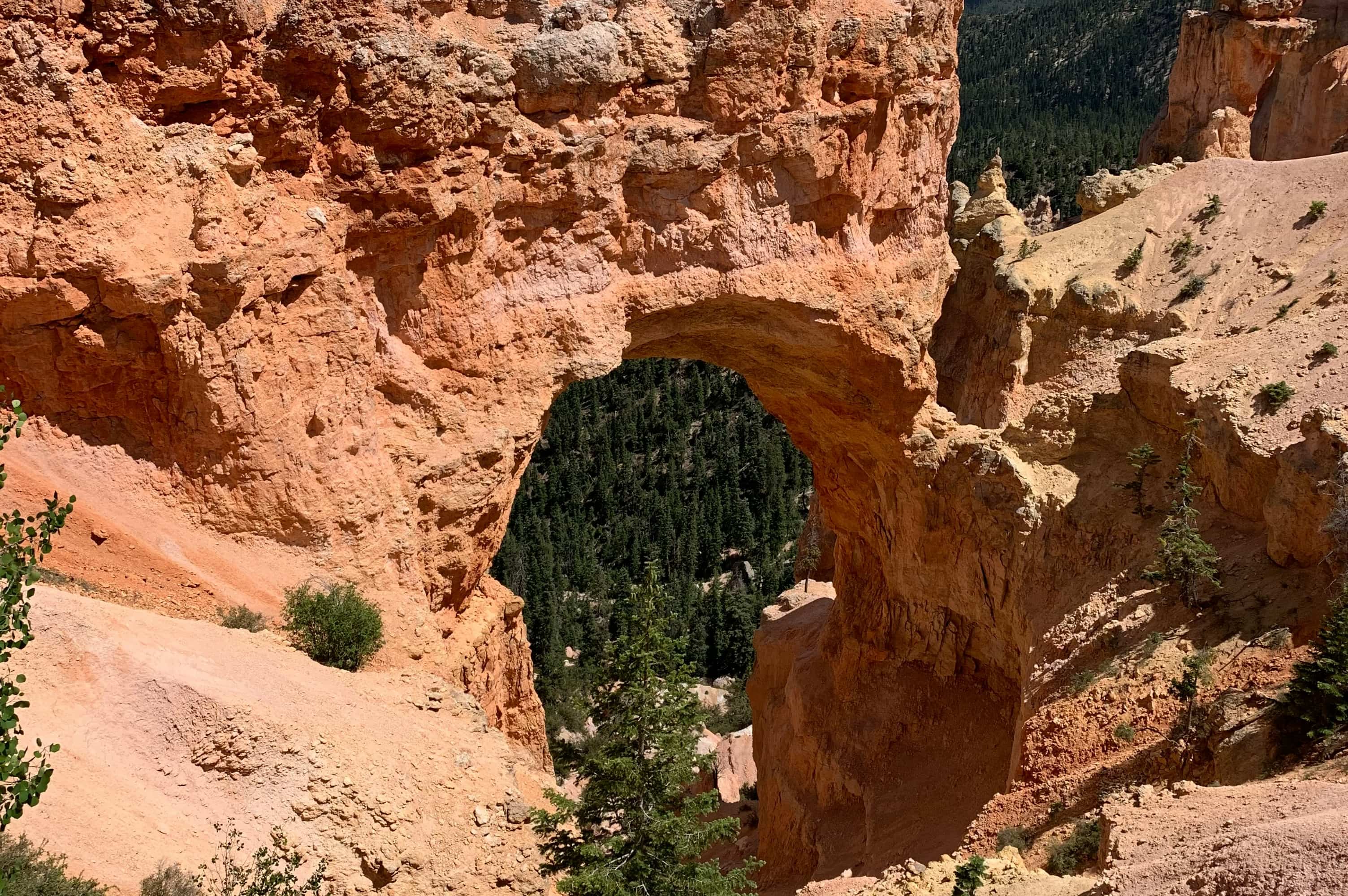 Natural bridge carved out of red rock